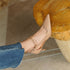 Elegant Pointed Medium Heels for Women - Fashionable Casual Pumps for Parties